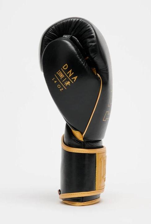 Produktbild Leone DNA Premium Boxhandschuhe GN002 Schwarz (16 OZ)