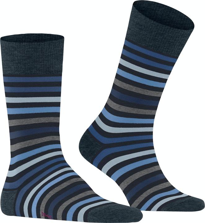 Actual product image Falke Tinted Stripe (Single pack, 39 - 42)