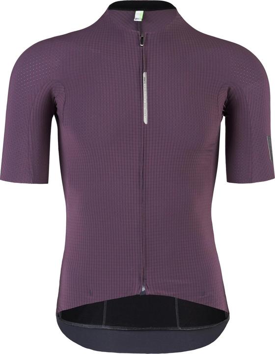Image du produit Q 36.5 Maillot SS Pinstripe PRO (L)