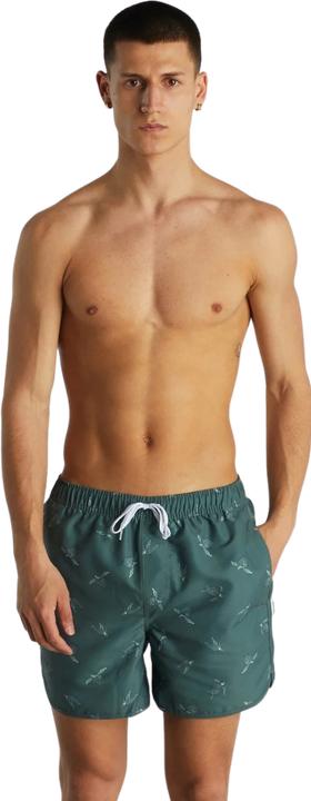 Actual product image Dedicated Swim Shorts Sandhamn Sea Turtles Forest Green S (S)