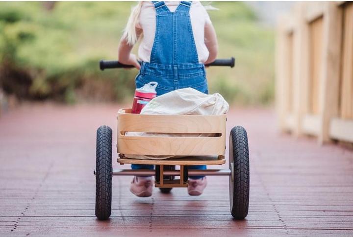 Produktbild Wishbone Cargo bin