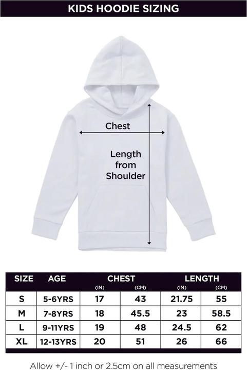 Produktbild Pink Floyd Dark Side Of The Moon Table Prism Kapuzenpullover (128)