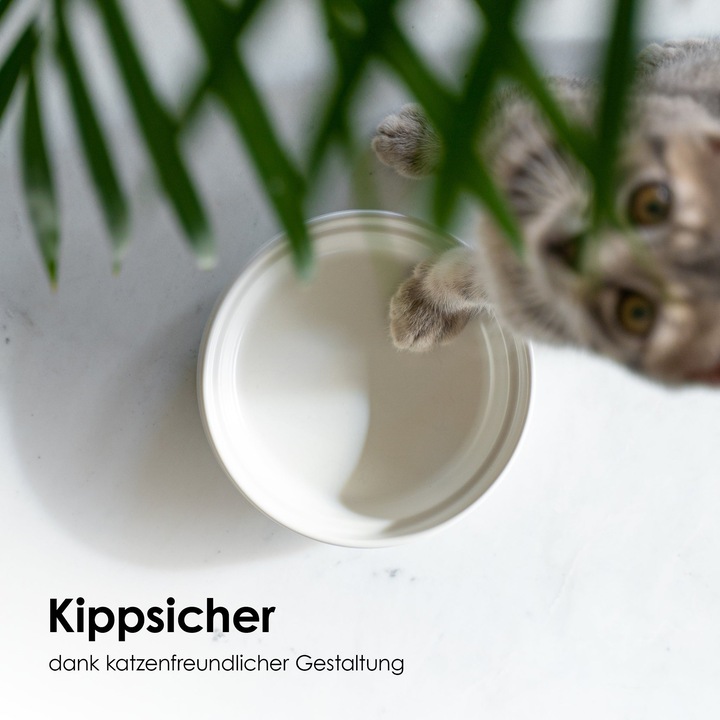 Immagine prodotto LucyBalu BOWL Porzellan Katzennapf