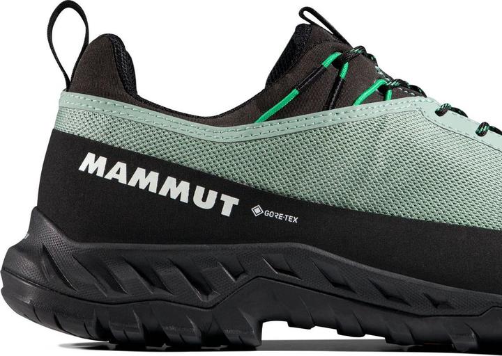 Produktbild Mammut Alnasca IV Low GTX Men (41 1/3)