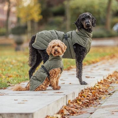 Produktbild Trixie Minot coat, XS: 30 cm, olive green (XS, Hundemantel)