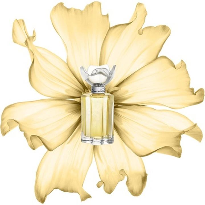 Actual product image Oscar de la Renta Esprit D'Oscar Spray (Eau de parfum, 100 ml)