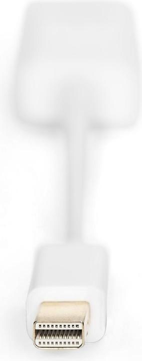Actual product image Digitus DP Adapterk.,mini DP-HD 0.15m (HDMI, 15 cm)