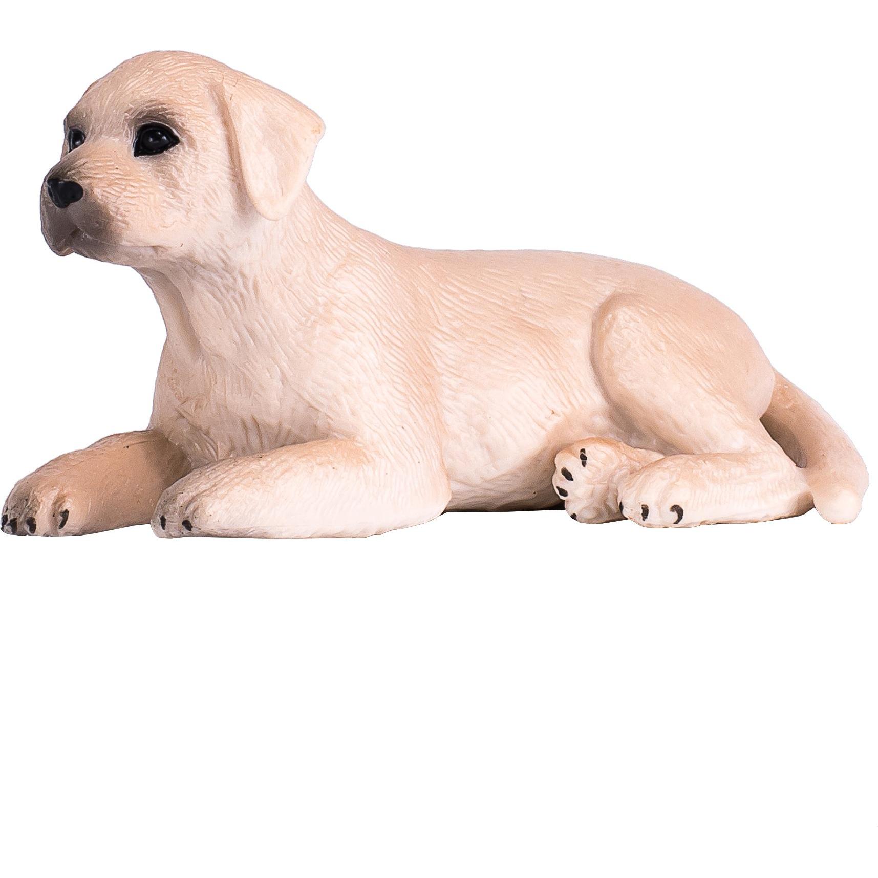 Animal Planet Cucciolo di labrador