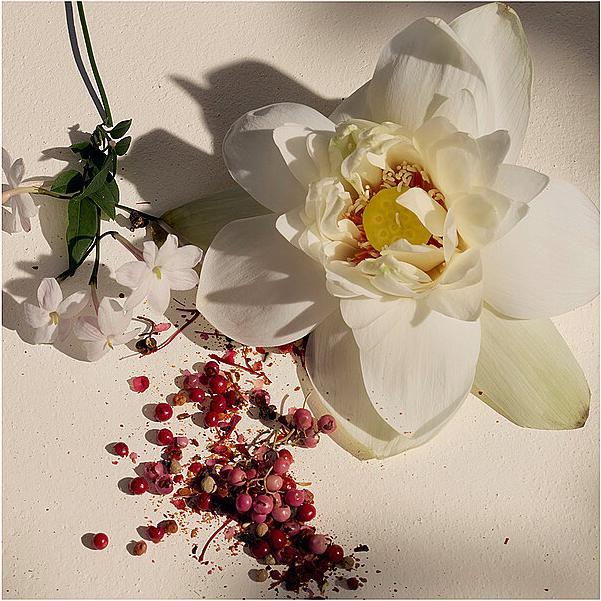 Produktbild Chloé Nomade Lumière dÉgypte for (Eau de Parfum, 50 ml)