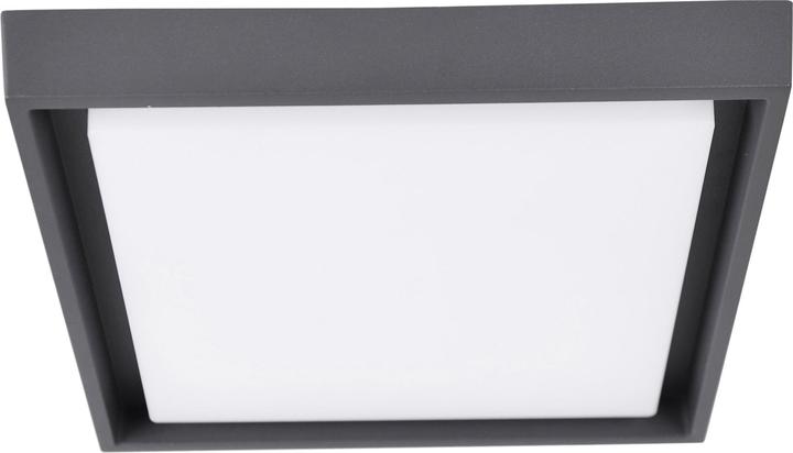 Productafbeelding Näve LED Buitenwandlamp IP54 Mio s:34cm (2500 lm, IP54)