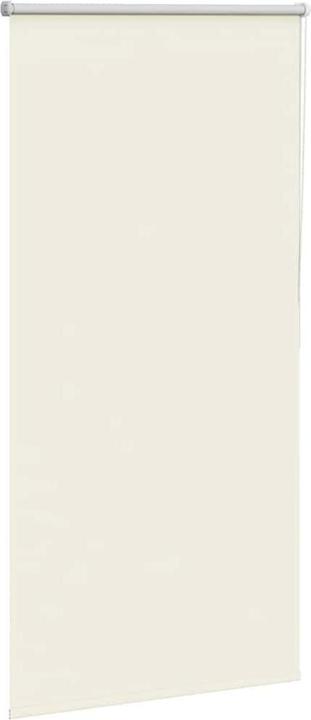 Actual product image vidaXL Verdunkelungsrollo (65 x 175 cm)