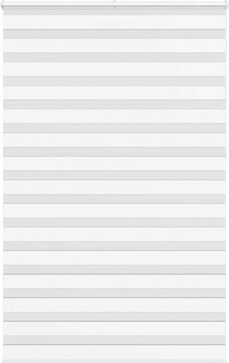 Produktbild vidaXL Zebra-Jalousie (145 x 230 cm)