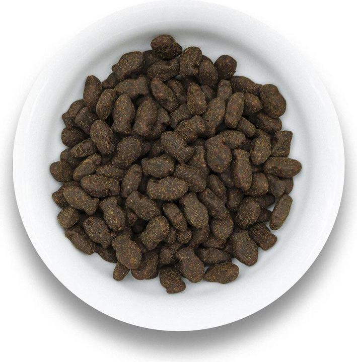 Produktbild Sollis Fisch Leckerei 100g (Adult, 1 Stk., 100 g)