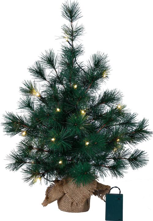 Actual product image Star Trading Tree Furu (60 cm)