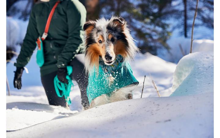 Immagine prodotto Hurtta Monsoon V2 Eco verde mackintosh, 30 cm (30, Cappotto impermeabile per cani)