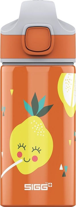 Actual product image Sigg Bottles (0.40 l)