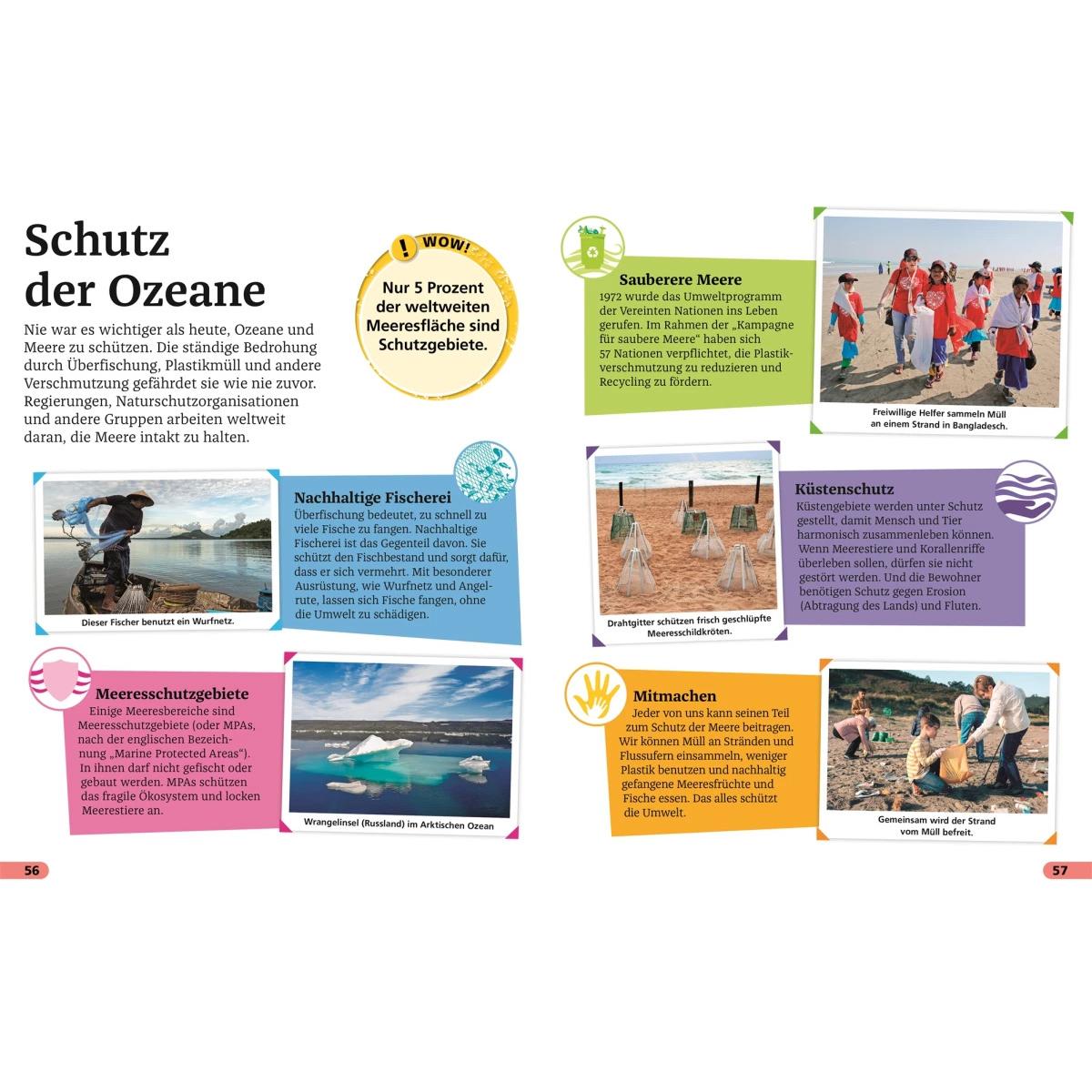 Thumbnail - Superchecker! Ozeane, Kinderbücher von Brigitte Rüssmann, Wolfgang Beuchelt, Andrea Mills
