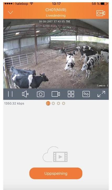 Actual product image LudaFarm Stable camera Farm Cam HD (1920 x 1080 Pixels)