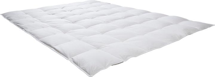 Image du produit Redbest Minneapolis (300 g, Duvet, 155 x 220 cm)