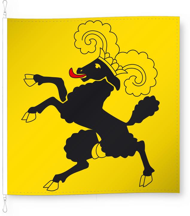 Image du produit Alpenfahnen Schaffhouse (100 x 100 cm)