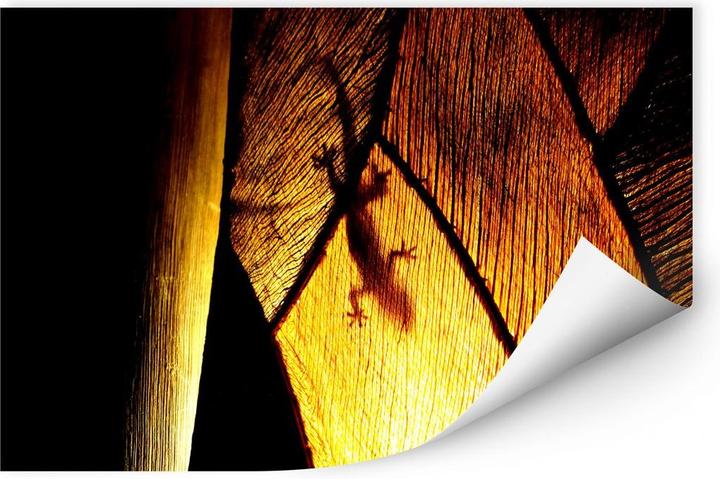 Immagine prodotto Trenddeko Gioco d'ombra (60 x 40 cm)