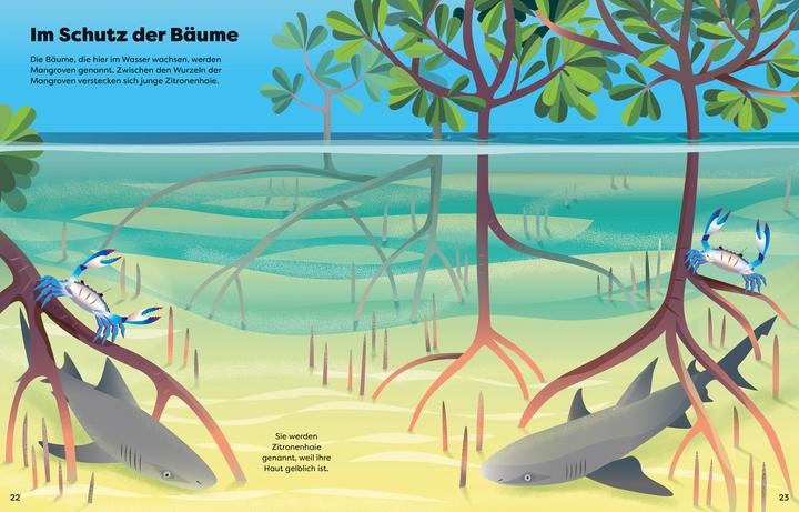 Produktbild Die grosse Sticker-Tierwelt: Haie