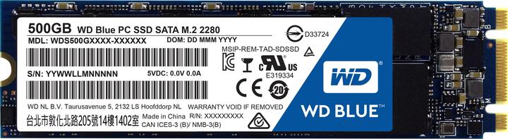 WD Blue (500 GB, M.2)