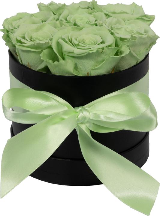 verde (scatola nera)