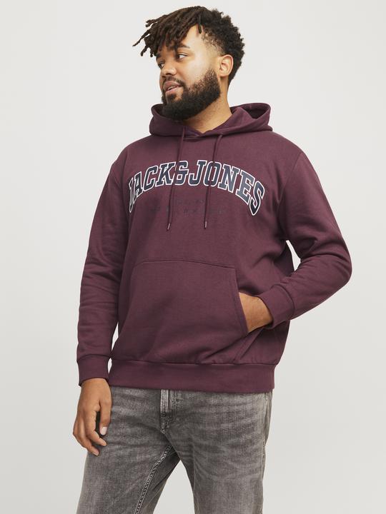 Image du produit Jack & Jones Jjecaleb Varsity Sweat Hood Noos Pls (4XL)