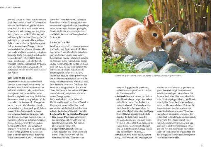 Produktbild Liebenswerte Zwergkaninchen (Deutsch, Monika Wegler, 2015)