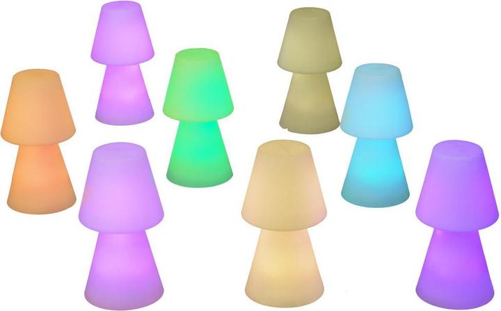 Image du produit Newgarden Lola