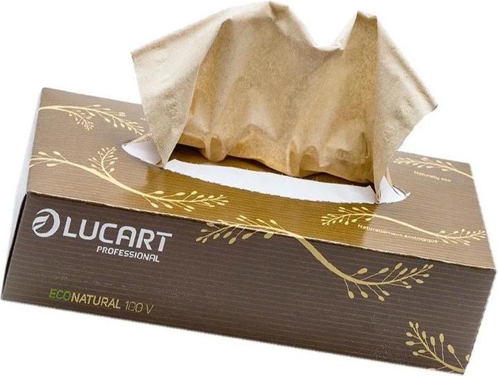 Lucart Kosmetiktücher 2-lagig Econatural