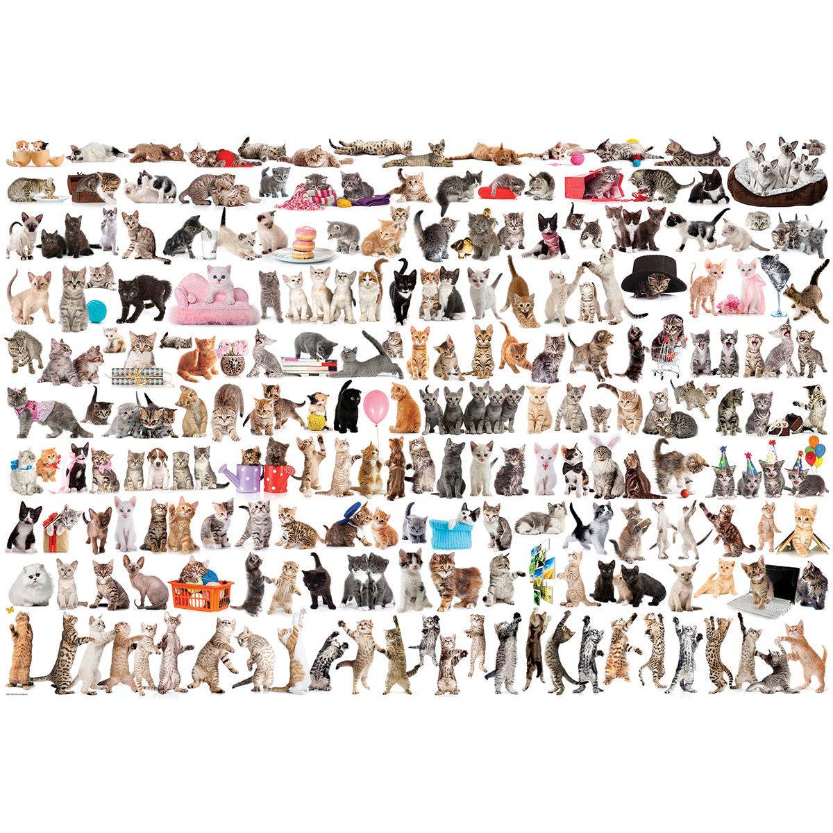 Thumbnail - Eurographics Welt der Katzen (2000 Teile)
