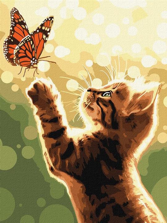 Actual product image Ideyka Painting by numbers - Cat and butterfly 30 x 40 cm
