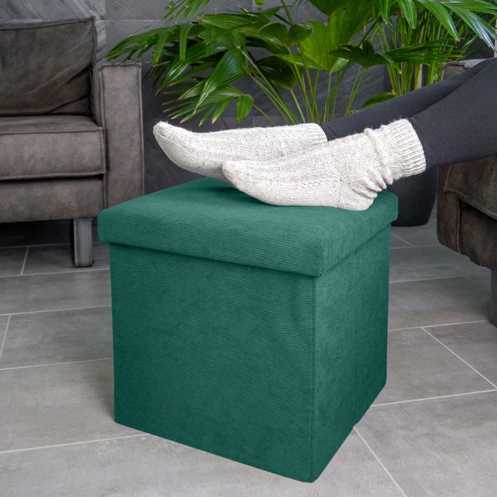 Actual product image Intirilife Foldable stool with storage space