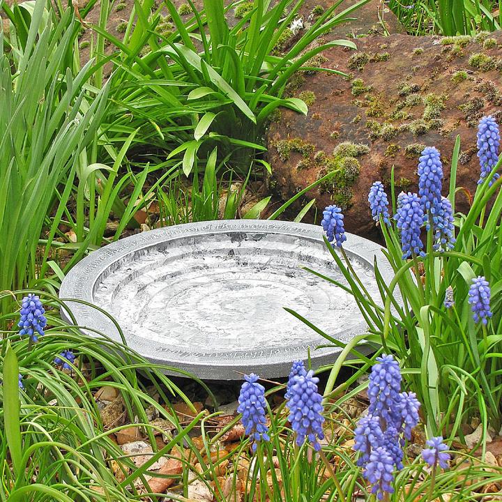 Produktbild Wildlife World Oasis