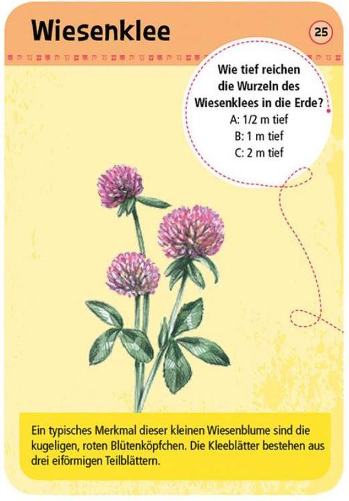 Produktbild 50 heimische Blumen (Deutsch, 1 - 20 Spieler)