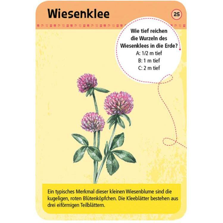 Thumbnail - Moses 50 heimische Blumen (Deutsch)