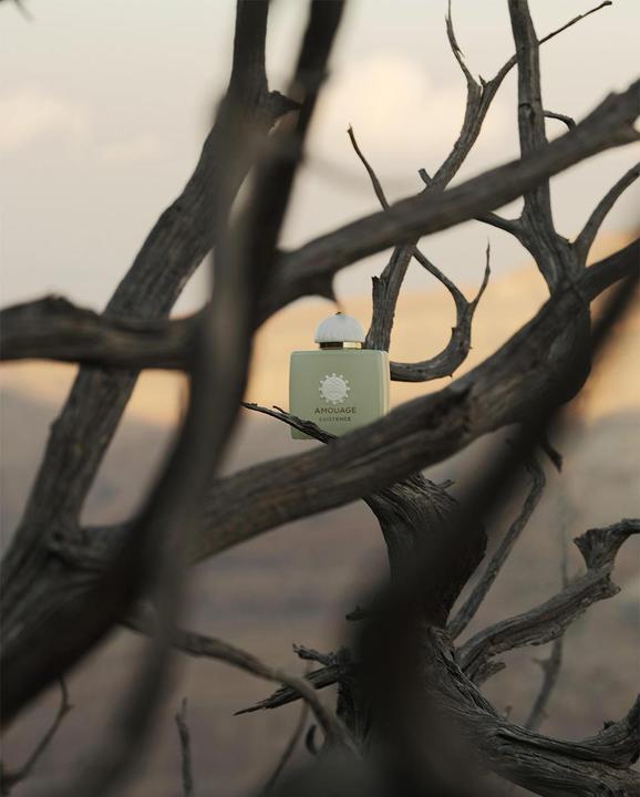 Actual product image Amouage Odyssey Existence Eau de Parfum (Eau de parfum, 100 ml)
