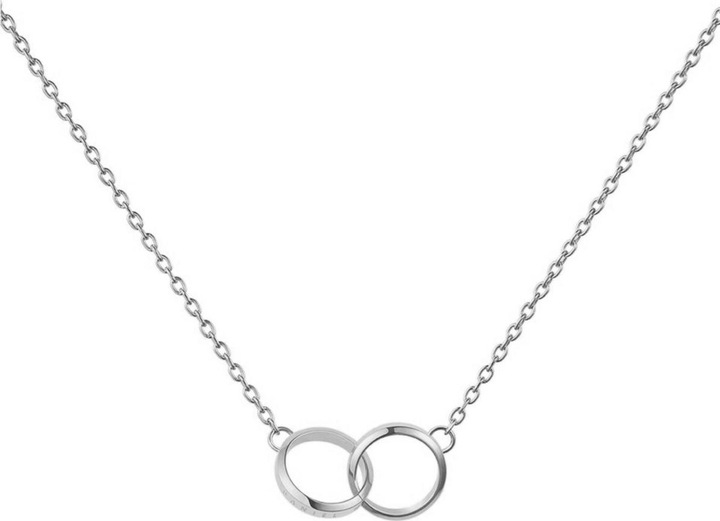 Immagine prodotto Daniel Wellington Elan Unity Collana in argento (Acciaio inossidabile, 45 cm)