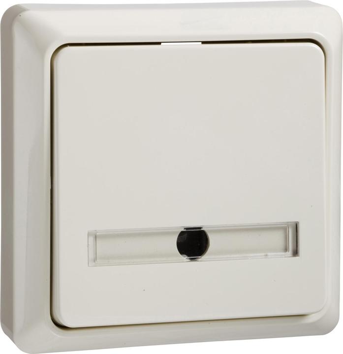 blanc crème (blanc électrique) Numéro RAL (similaire) :1013