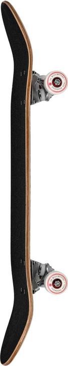 Actual product image Playlife Skateboards (31")
