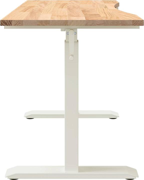 Image du produit vidaXL Verstellbarer Schreibtisch (60 x 120 x 115.50 cm)