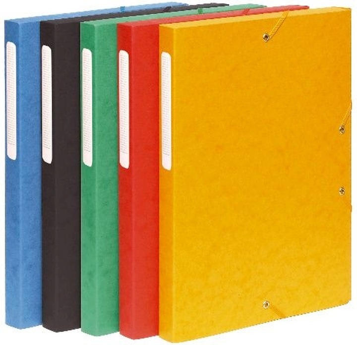 Actual product image Exacompta Archive boxes (A4)