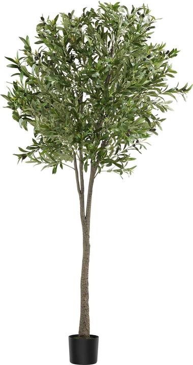 tectake Olivo Oleand (210 cm)