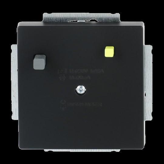 Actual product image Busch-Jaeger FI flush-mounted insert