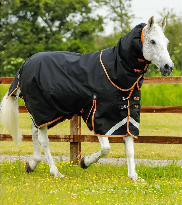 Produktbild Premier Equine outdoor-decke mit halsteil titan 300 g (198 cm)