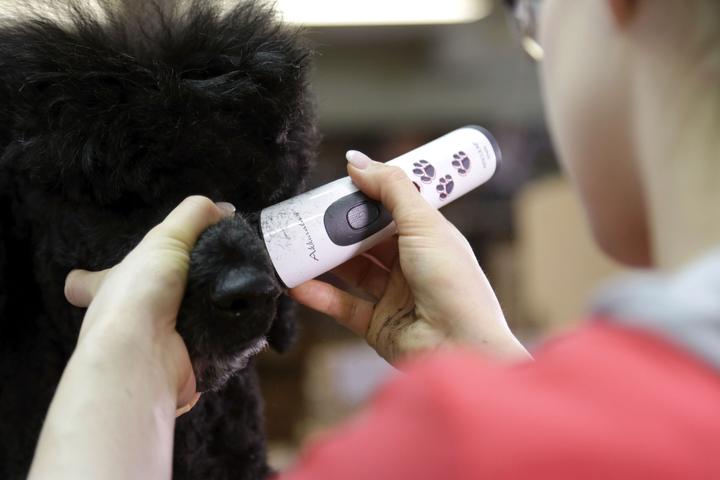 Actual product image Kerbl Accurata (Dog)