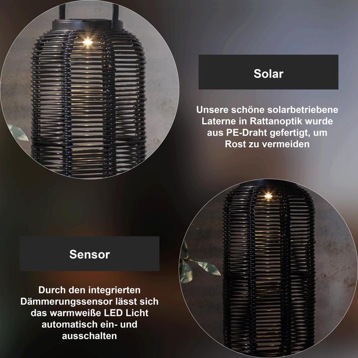 Actual product image Star Trading Runda