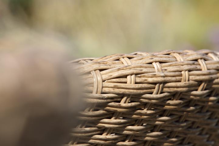 Actual product image Acamp Set 4x ATACAMA armchair